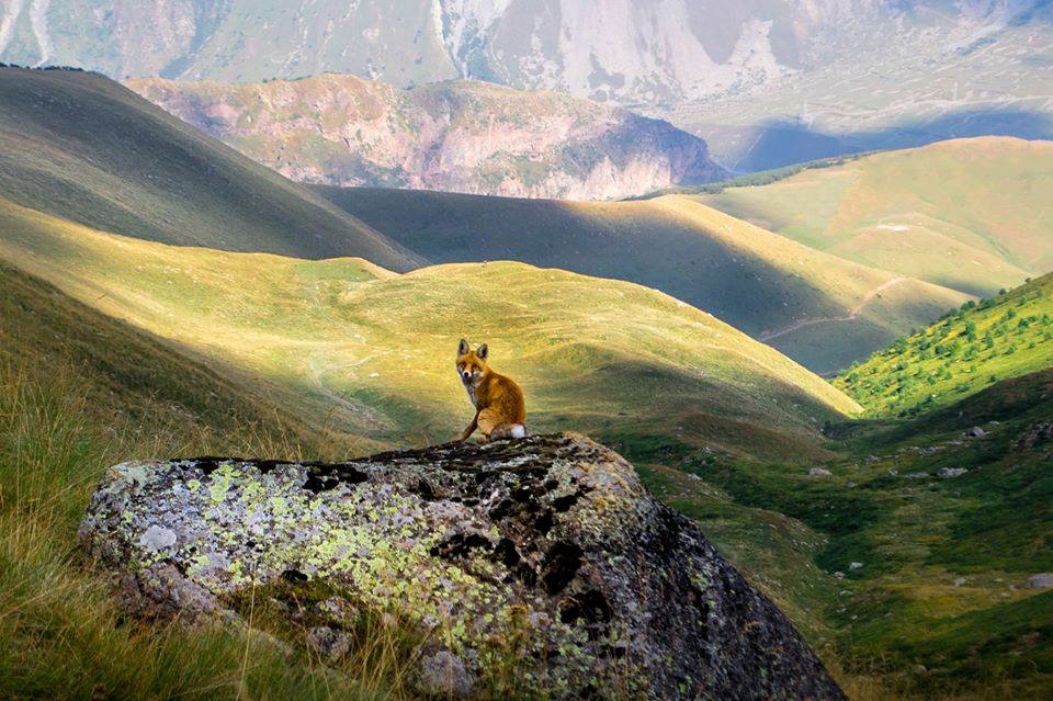 A foreign traveler offers a guide to trekking in Caucasus geotv.ge
